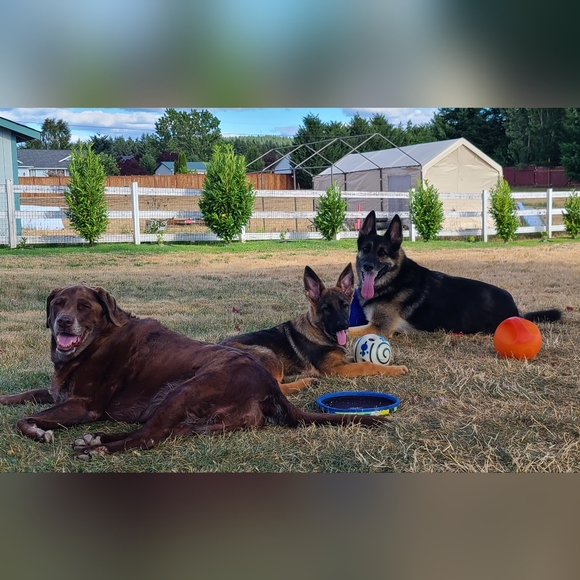 Like To Be Notified When I Go Live 🥳🫶🏻❤️ - Picture 6 of 9